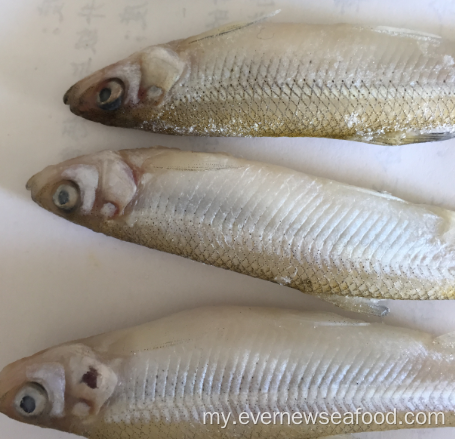 ရေကန်တစ်ခုလုံး သန့်စင်ထားသော ငါး Iqf အေးခဲထားသော ပင်လယ်စာများ