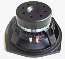 Professional 8" Pa Woofers?