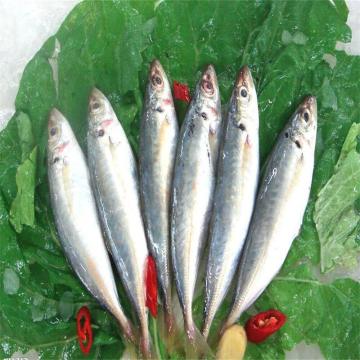 Fishmeal and Fish Oil Plant for Feed Processing Equipments