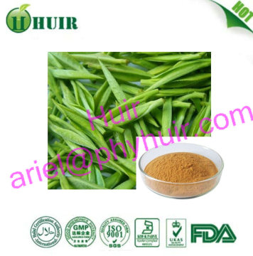 OEM Welcome Camellia sinensis O.Ktze Extract, natural green tea extract powder