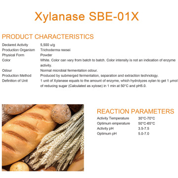 Geconcentreerde bak xylanase voor broodverbetering