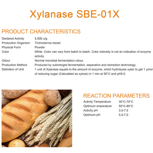 La cuisson concentrée xylanase pour l&#39;amélioration du pain