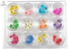 2014 Ladybird 3D nail art dry flower nail art decoration nail dry flower