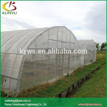 Arch roof type tunnel greenhouse growing cucumbers in greenhouse