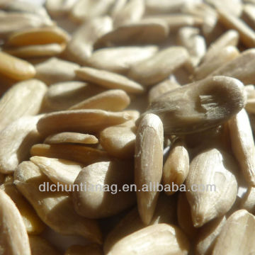 organic sunflower seed kernel