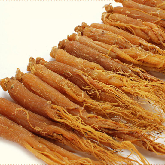 korean red ginseng root