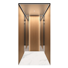 Modern residential villa elevator