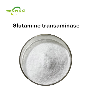 Understanding Glutamine Transaminase in Aminotransferase