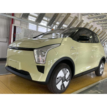 2023 Kineska nova energetska marka Sinogold EV mali električni automobil sa visokom kvalitetom