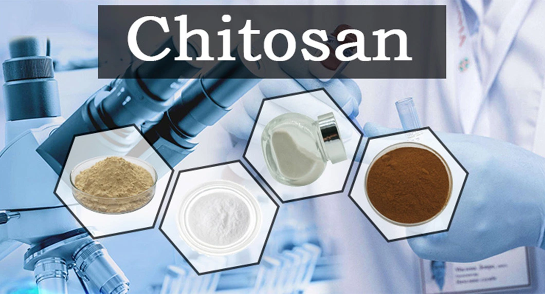 CAS 9012-76-4 All Molecular Weight Chitosan