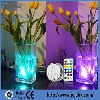 led holiday decoraiton light with remote control color changing battery light