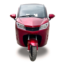 Tricycle Motorcycle with Passenger Seat