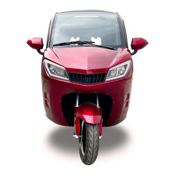 Tricycle Motorcycle with Passenger Seat