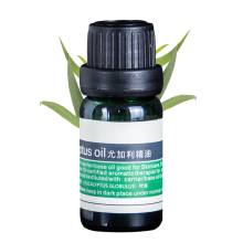 Eucalyptus 100% Pure Ən Yaxşı Terapevtik Az Essential Oil