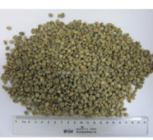 excellent quality Yunnan Coffee Beans