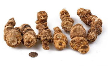 Traditional Chinese medicine Paridis Rhizoma Chong lou