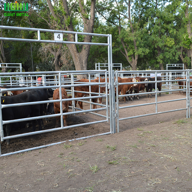 Galvanized Cattle /Horse Panel Fencing