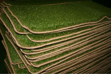 Grass Carpet