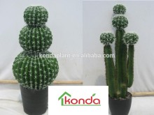 Hot selling artificial plants and trees,cheap artificial plants,fake plastic cactus,cactus powder,cactus extract
