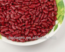 Chinese Dried Dark Red kidney bean, british type