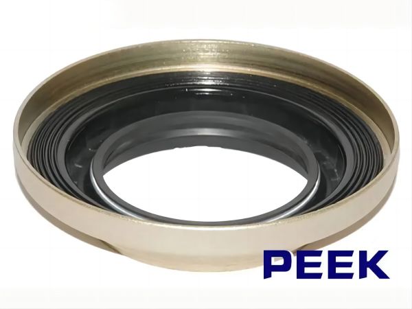 The favourite material for seals is PEEK3