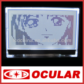 FSTN 12864 Graphic LCD Module