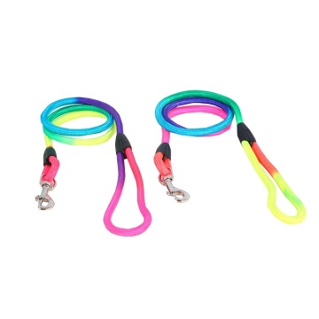 Stylish Waterproof Polyester Pet Training Leash