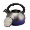 Stovetop Stainless Steel Whistling Tea Kettle Rust-Resistant