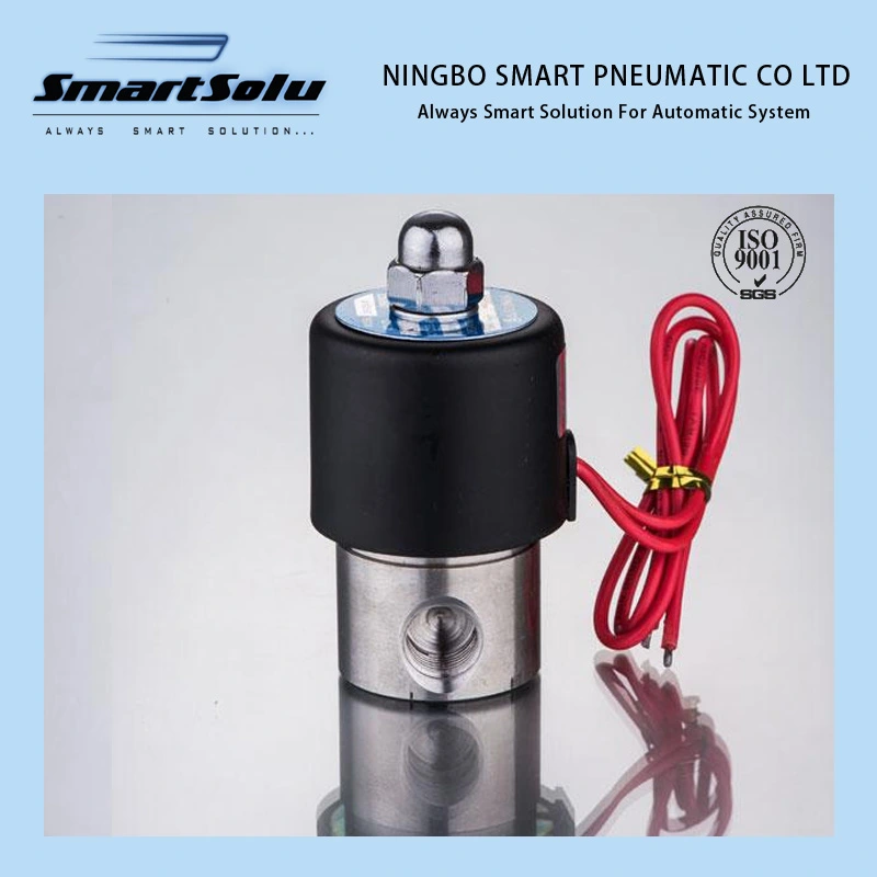 Brass Stainless Steel Plastic Solenoid Valve for Water Purifier