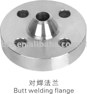 stainless steel flange (pipe fitting,cast flange)