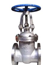 titanium valves gate