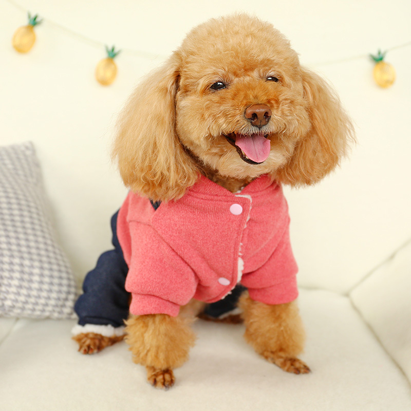 Pet Dog Cat Autumn Winter New Warm Thick Cotton Coat Hug Bear Four-legged Coat Teddy Clothing