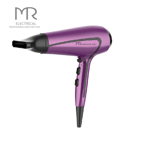 Nuevo diseño profesional Salon Ionic Ceramic Hair Blower