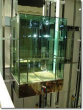 Panoramic Passenger elevator (Glass )