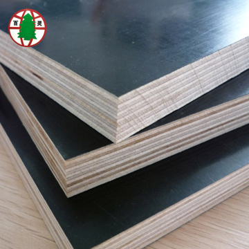 13 ply shuttering phim phải đối mặt ván ép