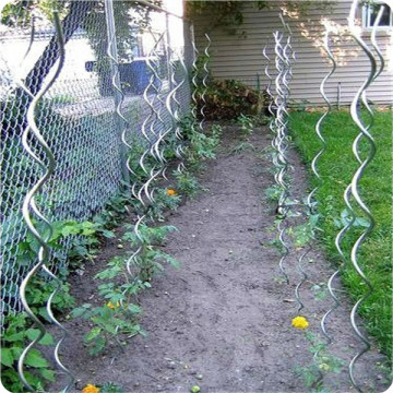 Soporte espiral de tomate galvanizado