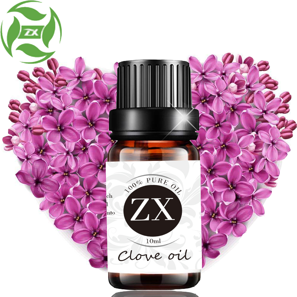 Hurtownia Professional FACTORY Clove Essential Oil