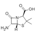 Acide 6-aminopénicillanique CAS 551-16-6