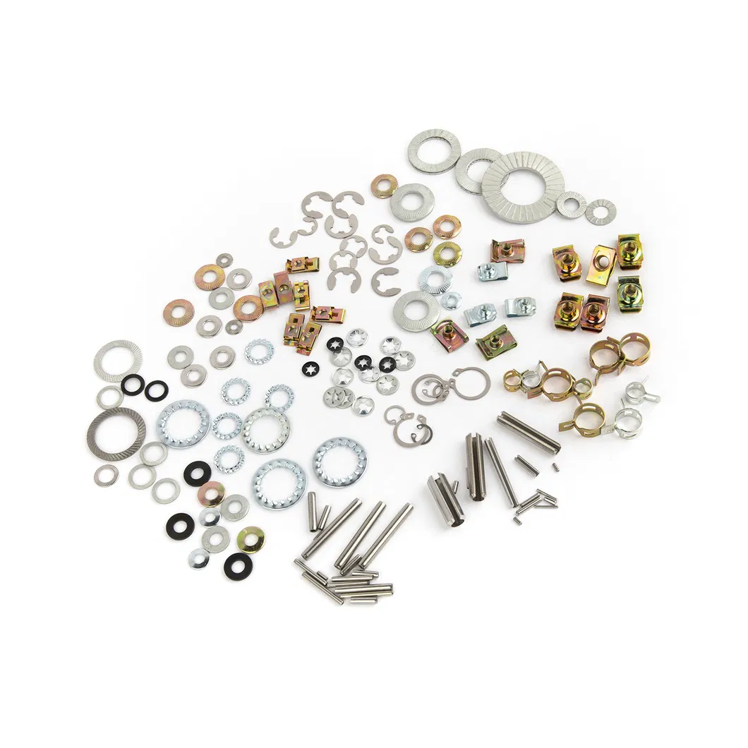 Stainless-Steel Belleville Washer Spring Washer Wedge Lock Washer