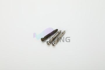 Titanium Screw for Spine