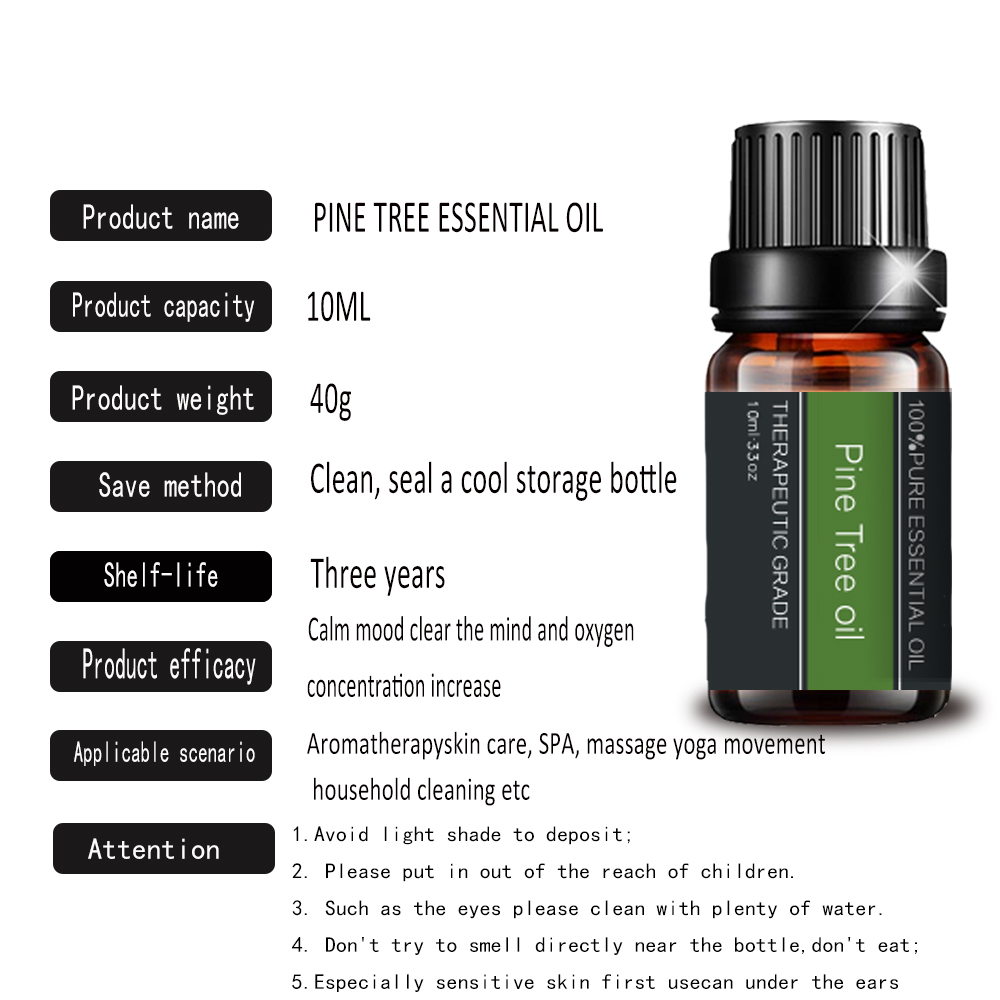Extrait de plan d&#39;huile essentielle de pin pour le massage