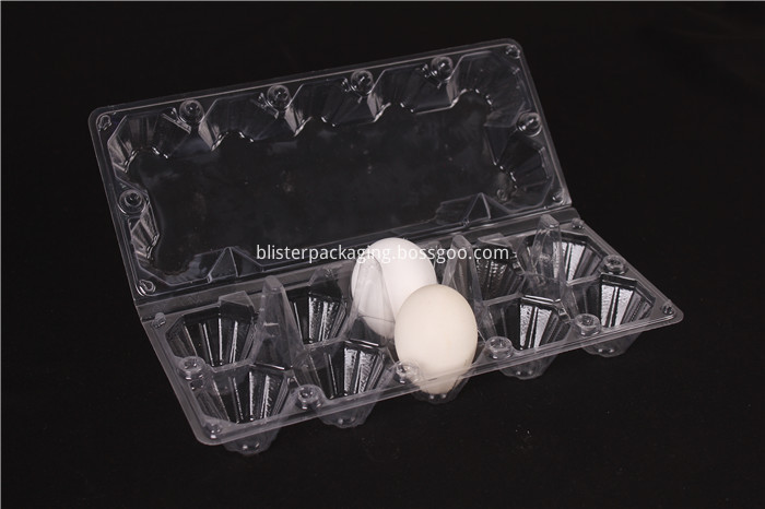 Plastic Egg Cartons