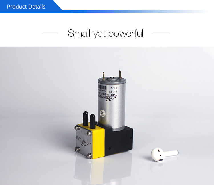 12v/24v Both Liquid and air usage electrical power air conditioner  diaphragm pump with dc motor used for liquid sample analysis