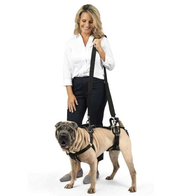 Lifting Aid Harness For Dogs