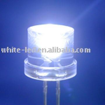 5mm Flat Warm White LEDs/Red LEDs/ Blue LEDs