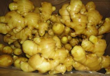 Fresh Ginger with Air Dry