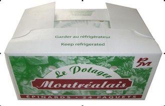 Reusable Correx Plastic Sheet / Correx Boxes For Packing ,