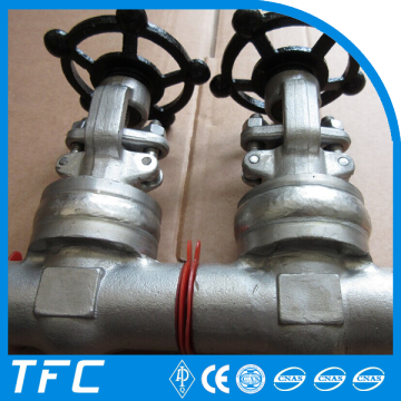 ss316 manual globe valve ss304 body