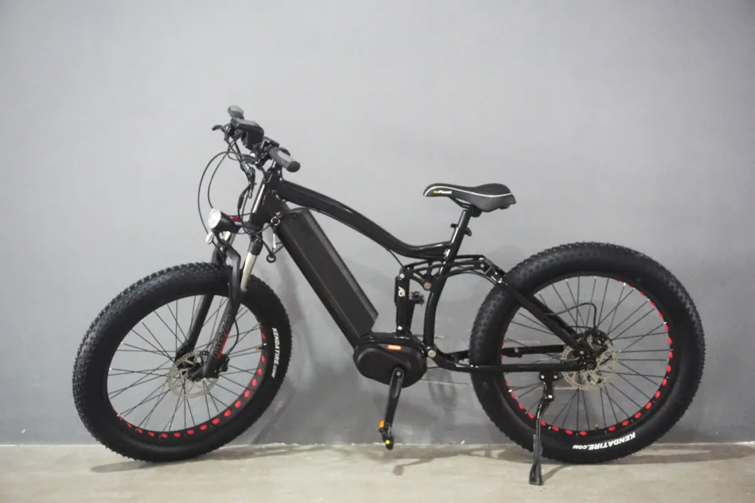 26*4.0 Inch 500W Beach Snow Mountain Fat Tire Electric Bike with Ce