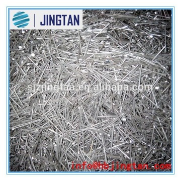 Polished common nails/ common iron nails /common wire nails